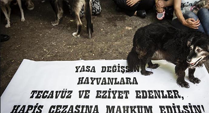 Prof. Dr. Murat Arslan, Hayvan Hakları Yasası’na ilişkin Açıklama
