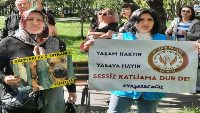 Yaşam Haktır Eylemine Güçlü Katılım: Meleğin Patileri Sahadaydı